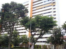 Blk 407 Pandan Gardens (Jurong East), HDB 5 Rooms #368792